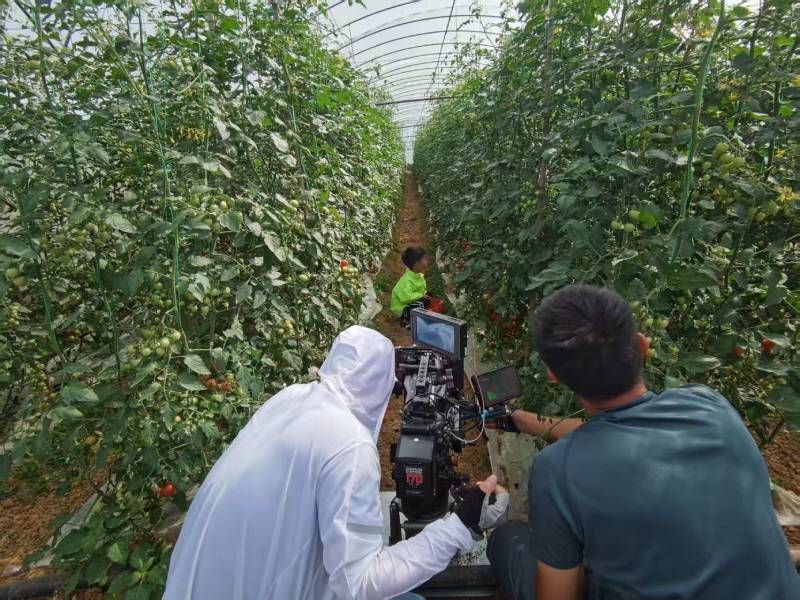 台前县产品宣传视频拍摄公司进阶指南，助力品牌抢占传播高地